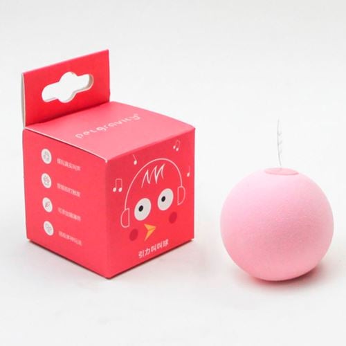 Bolinhas Para Pets - Pet Fun - Infinity Express