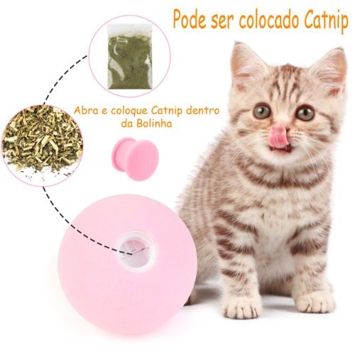 Bolinhas Para Pets - Pet Fun - Infinity Express